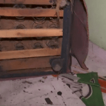 যাদবপুরে মমতা তৃণমূলের কার্যালয়ে ভাঙচুর, তদন্তে পুলিশ; বিজেপির বিরুদ্ধে অভিযোগ অস্বীকার