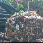 স্কুলের প্রবেশমুখেই জঞ্জালের স্তূপ, তীব্র দুর্গন্ধে নাজেহাল পড়ুয়া-অভিভাবক