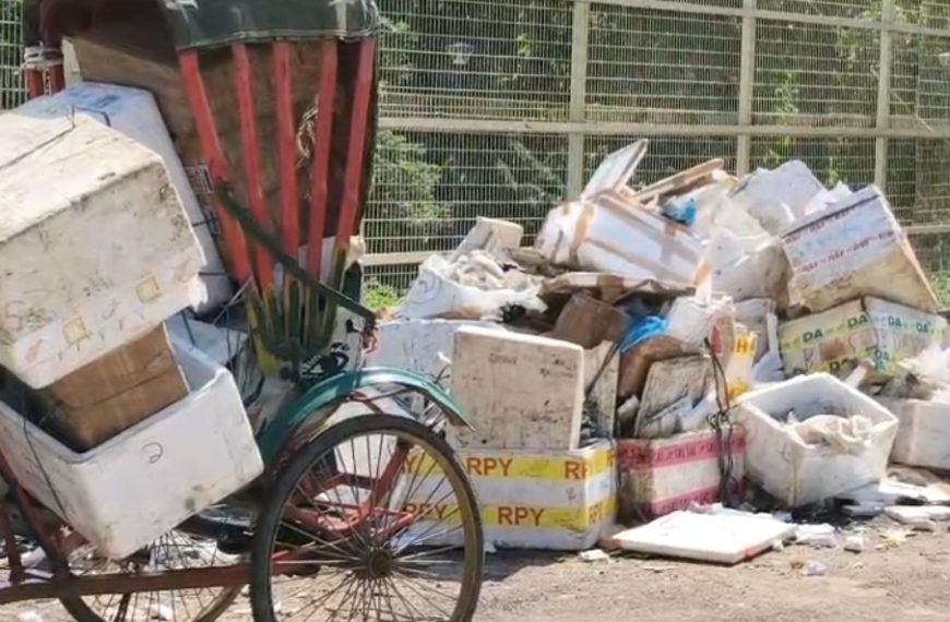 কোটি টাকার ‘স্মার্ট সিটি’ পার্কে নেশার আসরের অভিযোগ, মাছ বাজারের বর্জ্যে বেহাল বটতলা
