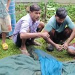 কৈলাসহরের হিরাছড়ায় ফিশারি থেকে মাছ চুরির অভিযোগ, আটক ৩