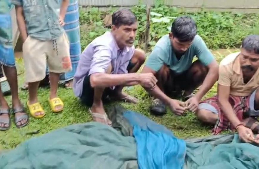 কৈলাসহরের হিরাছড়ায় ফিশারি থেকে মাছ চুরির অভিযোগ, আটক ৩