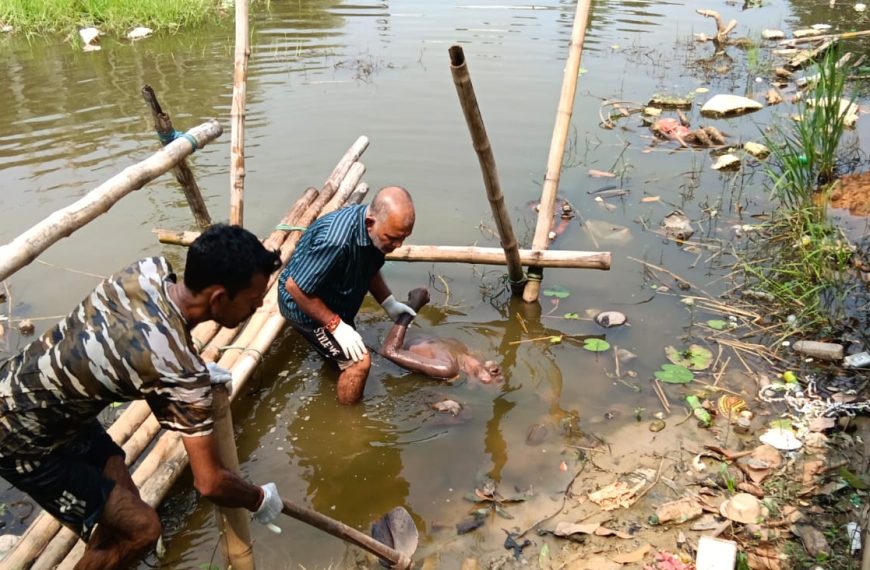 লিচুবাগানের দশমীঘাট পুকুরে ব্যক্তির মৃতদেহ উদ্ধার