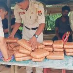 দুর্গাচৌমুহনী নাকায় ফোর্ড গাড়ি থেকে ২৯.৮ কেজি গাঁজা উদ্ধার, আটক চালক