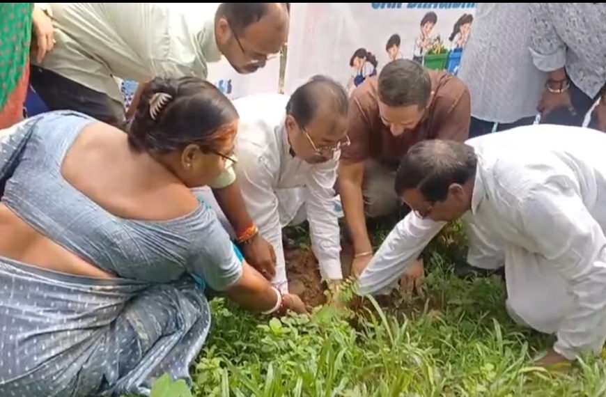 ‘সেবা সংকল্প অভিযান’-এর অঙ্গ হিসেবে ৩১ নম্বর ওয়ার্ডে বৃক্ষরোপণ ও সাফাই অভিযান